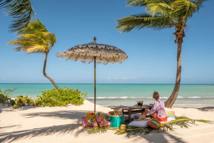 Pasture beach picnic